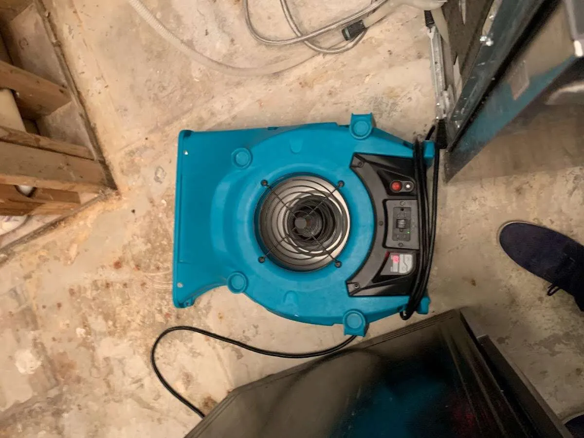 Air mover drying equipment for Mold Remediation & Removal in Atmore